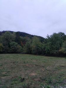 Vente Terrain TERNUAY-MELAY-ET-SAINT-HILAIRE 70270