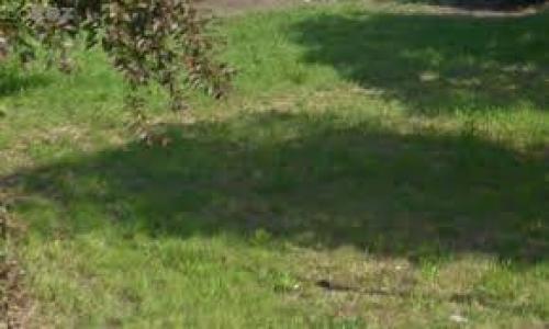 Vente Terrain CIVENS 42110
