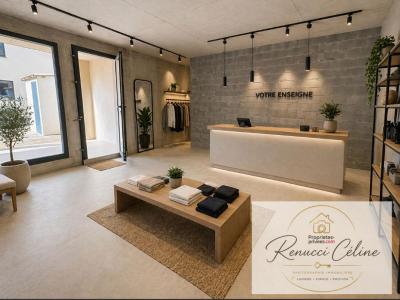 Vente Immeuble PORTICCIO 20166