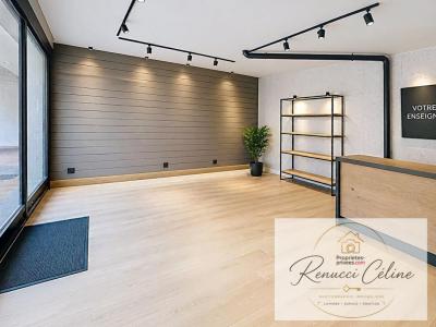 Vente Immeuble PORTICCIO 20166