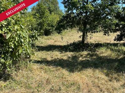 Vente Terrain VOULEME 86400
