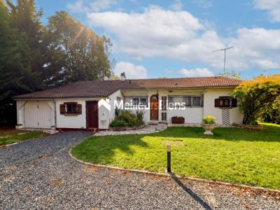 Vente Maison LORRIS 45260