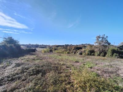 Vente Terrain BAURECH 33880