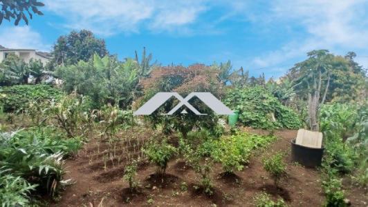 Vente Terrain SAINT-LEU 97424