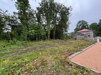 Vente Terrain SAINT-JEAN-DE-SOUDAIN 38110