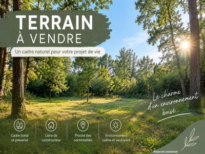 Vente Terrain JARD-SUR-MER 85520