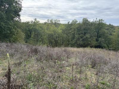 Vente Terrain CROIGNON 33750