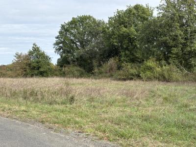 Vente Terrain SAINT-GERMAIN-DU-PUCH 33750