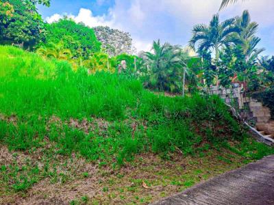 Vente Terrain RIVIERE-PILOTE 97211
