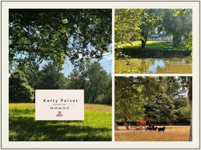 Vente Prestige NORT-SUR-ERDRE 44390
