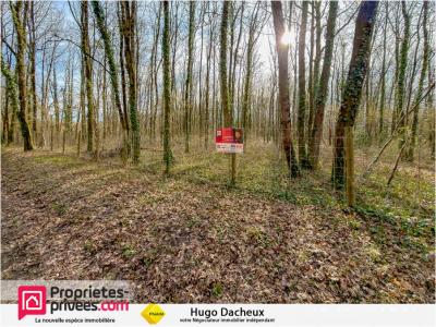 Vente Terrain THENIOUX 18100