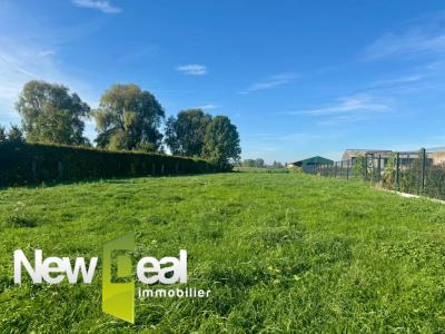 Vente Terrain LANDAS 59310