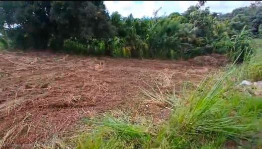 Vente Terrain LAMENTIN 97232