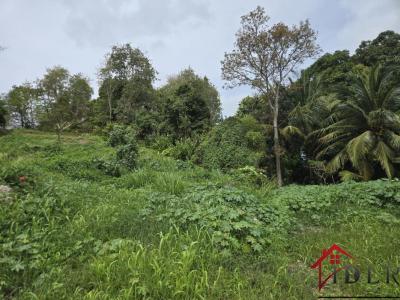 Vente Terrain ABYMES 97139