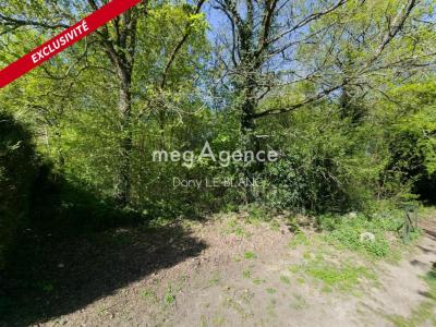 Vente Terrain LEVES 28300