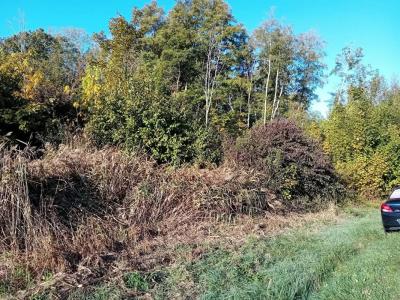 Vente Terrain SAINT-GEORGES-MOTEL 27710