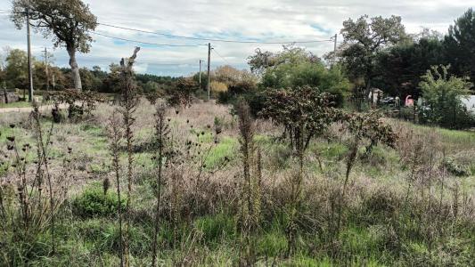 Vente Terrain VILLANDRAUT 33730