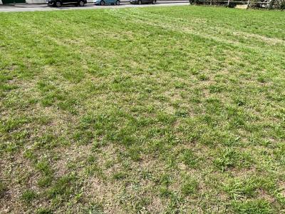 Vente Terrain NOGENT-SUR-VERNISSON 45290