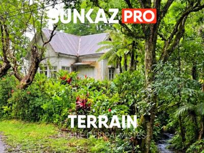 Vente Terrain PLAINE-DES-PALMISTES 97431