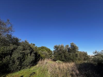 Vente Terrain SAINT-GILLES 30800
