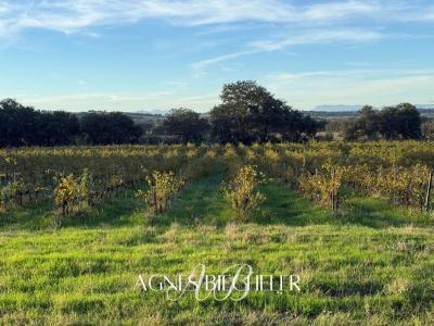 Vente Terrain BAGES 66670