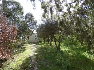 Vente Terrain ROCHEFORT-DU-GARD 30650
