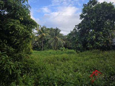 Vente Terrain BAIE-MAHAULT 97122