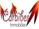 votre agent immobilier CARAIBES IMMOBILIER (SAINT-FRANCOIS 971)