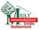 votre agent immobilier MEILY IMMOBILIER (Courroux Suisse 2822)