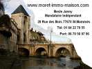 votre agent immobilier Agence MORET IMMOLIAISON (Saint-mamms 77670)