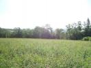 For sale Land Naves  4000 m2
