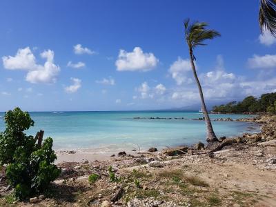 Vacation rentals Gosier Guadeloupe (97190) photo 0