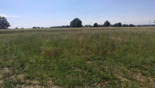 For sale Fatines 499 m2 Sarthe (72470) photo 0