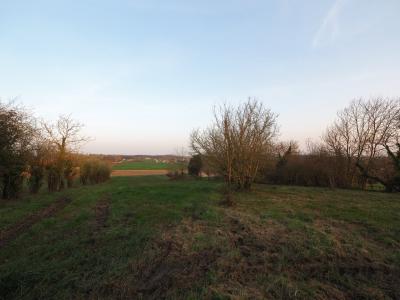 For sale Peyriere Lot et garonne (47350) photo 0