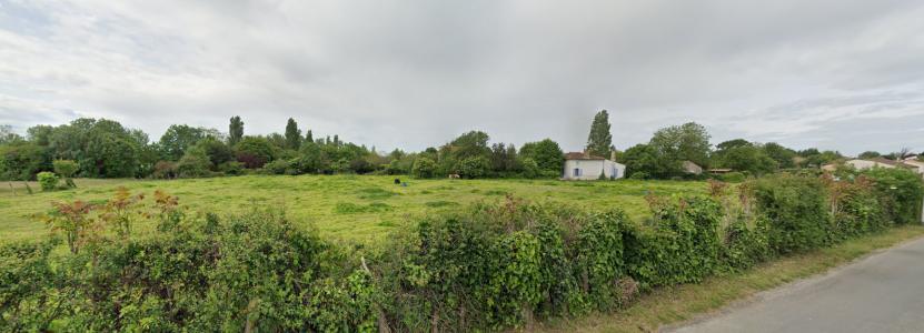 For sale Balanzac SUJON 375 m2 Charente maritime (17600) photo 0