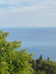 For sale Eze Alpes Maritimes (06360) photo 0