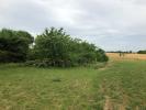 For sale Land Saint-jean-d'angely ST JEAN D'ANGELY