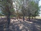 For sale Land Paraza  1179 m2