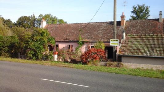 For sale Pierrefitte-sur-loire 6 rooms 124 m2 Allier (03470) photo 0