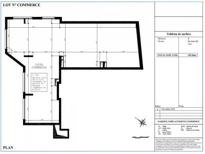 Acheter Local commercial 250 m2 Linas