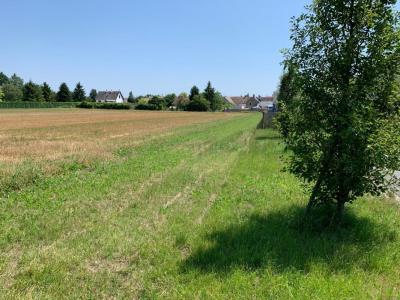 For sale Chaingy 837 m2 Loiret (45380) photo 0