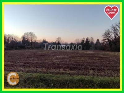 For sale Guerche-sur-l'aubois 6937 m2 Cher (18150) photo 0