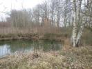 For sale Land Doue  15500 m2