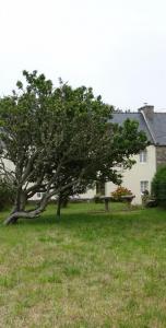 For sale Ouessant 5 rooms 97 m2 Finistere (29242) photo 0