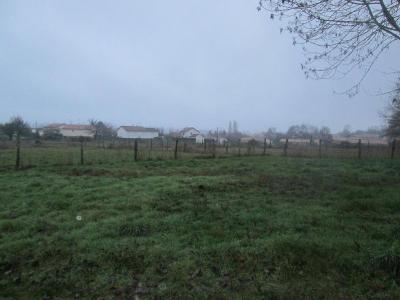 For sale Tallud 21388 m2 Deux sevres (79200) photo 0