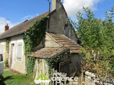 For sale Germigny-l'exempt 2 rooms 89 m2 Cher (18150) photo 1