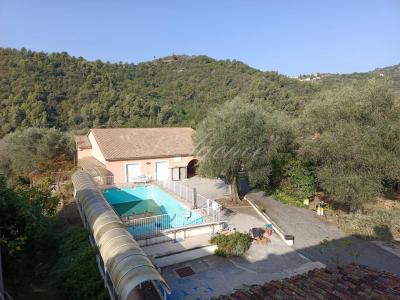 For sale Contes 20 rooms 800 m2 Alpes Maritimes (06390) photo 1