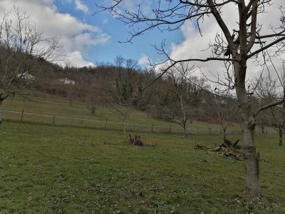 For sale Tullins 860 m2 Isere (38210) photo 1