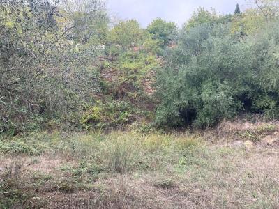 For sale Treilles 1484 m2 Aude (11510) photo 0