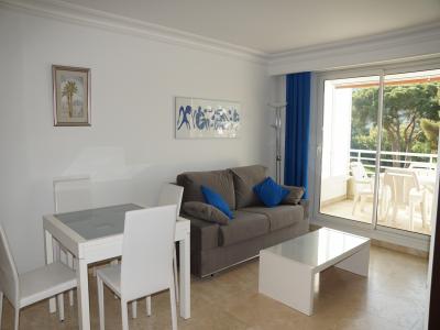 Vacation rentals Cavalaire-sur-mer Var (83240) photo 0